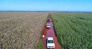 dji_0034