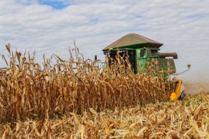 Confira informações do boletim de monitoramento agrícola da Conab para julho de 2023