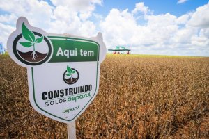 Consultor Henry Sako fará palestra sobre manejo da fertilidade no Simpósio da Soja Copasul 2023