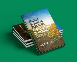 Dia de Campo da Mandioca terá lançamento de livro sobre potencial produtivo da raiz 